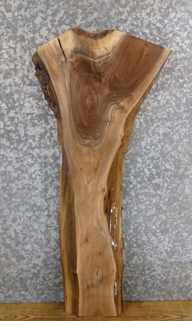 Black Walnut Live Edge Rustic Accent/Side Table Top Slab 1723